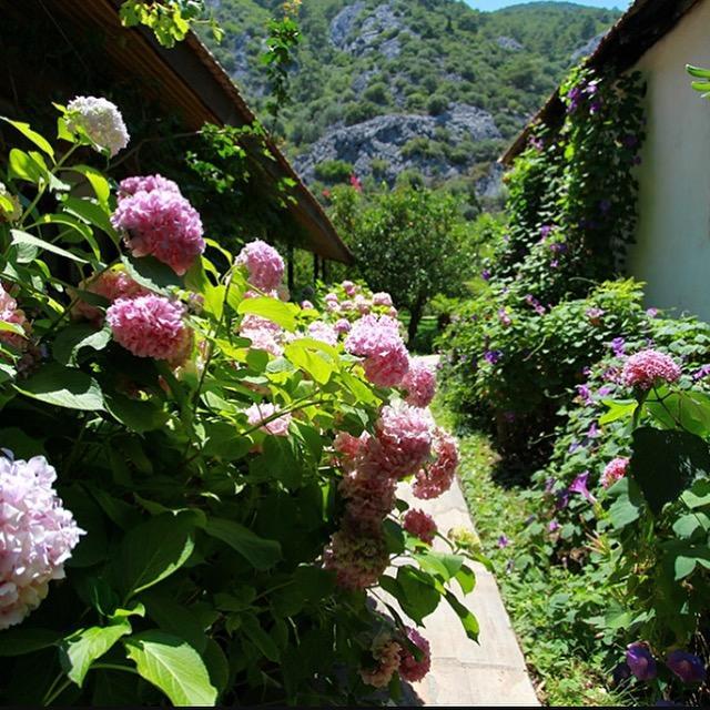 Dolunay Apart Hotel Çıralı Eksteriør bilde