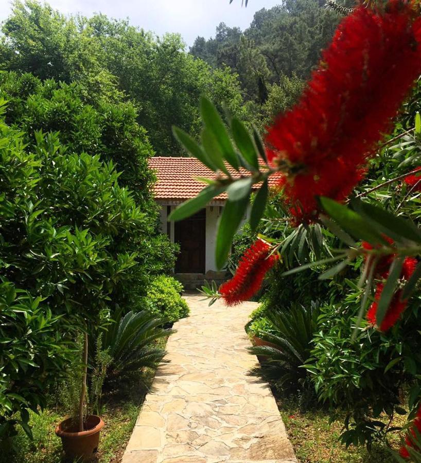 Dolunay Apart Hotel Çıralı Eksteriør bilde